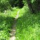 SeltenerTrail