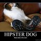 HIPSTER-DOG