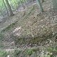 DSC00653