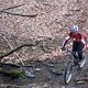 IMG 5072