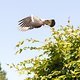 Urlaub Tierleben 6522