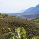 Scenic during Stage 3 of the 2024 Absa Cape Epic Mountain Bike stage race from Saronsberg Wine Estate to CPUT, Wellington, South Africa on 20 March 2024. Photo by Dominic Barnardt / Cape Epic
PLEASE ENSURE THE APPROPRIATE CREDIT IS GIVEN TO THE PHOTO