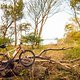Rocky Mountain Vertex T.O. - Poel 20241020 03