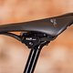 Scar Cycles-18