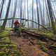 BC Squamish - Grinch Toes