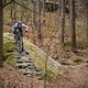 20250406-13 Sächsische Schweiz