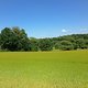 IMG 0722