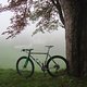 Alliance Bicycles  TITANIUM and fog