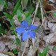 130509 Eltzbachtal24