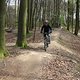IMG 0460