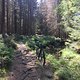 IMG 7541