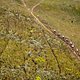 Women’s field during stage 4 of the 2022 Absa Cape Epic Mountain Bike stage race from Elandskloof in Greyton to Elandskloof in Greyton, South Africa on the 24th March 2022.