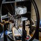 Newmen Hausbesuch 2024-067