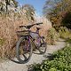L1000017 (MTB-News)