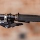 Scar Cycles-22