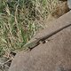 DSC09976