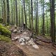 BC Squamish - Rupert