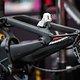 Specialized-Iles-Bruni-Williams-3808
