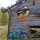 Wallis Enduro