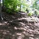 SDC10163 kl