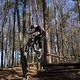 Bike Beerfelden P 307
