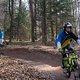 Bike Beerfelden P 254
