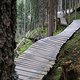 IMG 5055