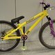 Lakers Bike