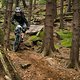 20151025-228L Barsch und Bär Enduro