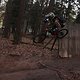 IMG 1298