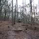 IMG 1522