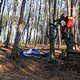 IMG 1712