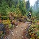 BC Squamish - Hybrid