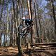 Bike Beerfelden P 277