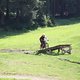 IMG 9951