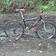 Foto0010