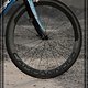 basso IMG 1494 2