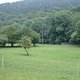 DSCF0099