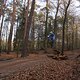 IMG 1952