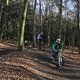 IMG 1870