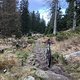 IMG 8084