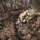 Das Bike ist agiler, als es sein langer Radstand vermuten lässt