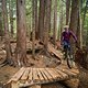 BC Whistler - A River Runs Through It