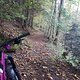 zum Start queren