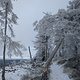 Winterpokal-Aktivität