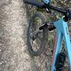 IMG 1744
