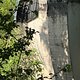 IMG 6530