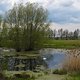 IMG 6646