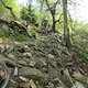Altkönig Trail