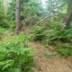 20110515 bza 846.jpg 800x600